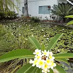 Mango House Resort