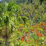 Kipara Tropical Rainforest Retreat