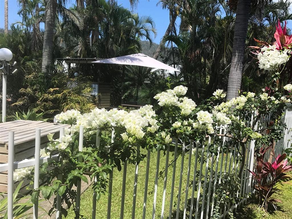 Resort Mango House 3*