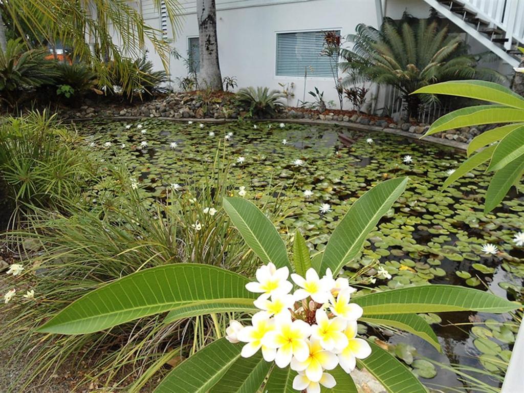 Mango House 3*