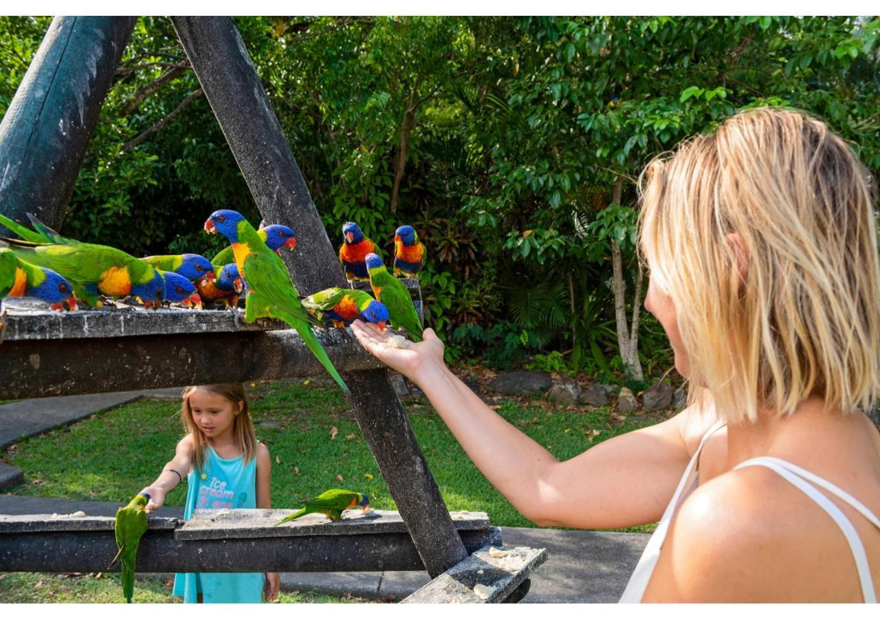 Discovery Parks - Airlie Holiday park Airlie Beach