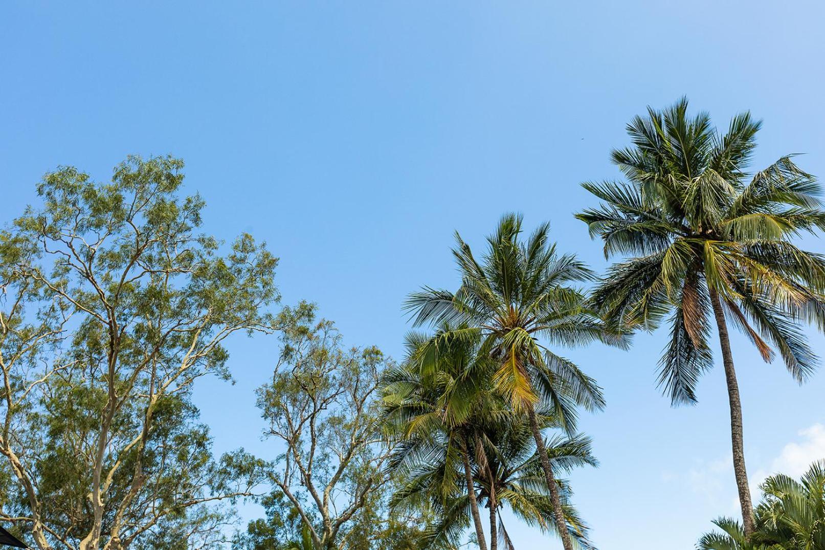 Kipara Tropical Rainforest Retreat Resort