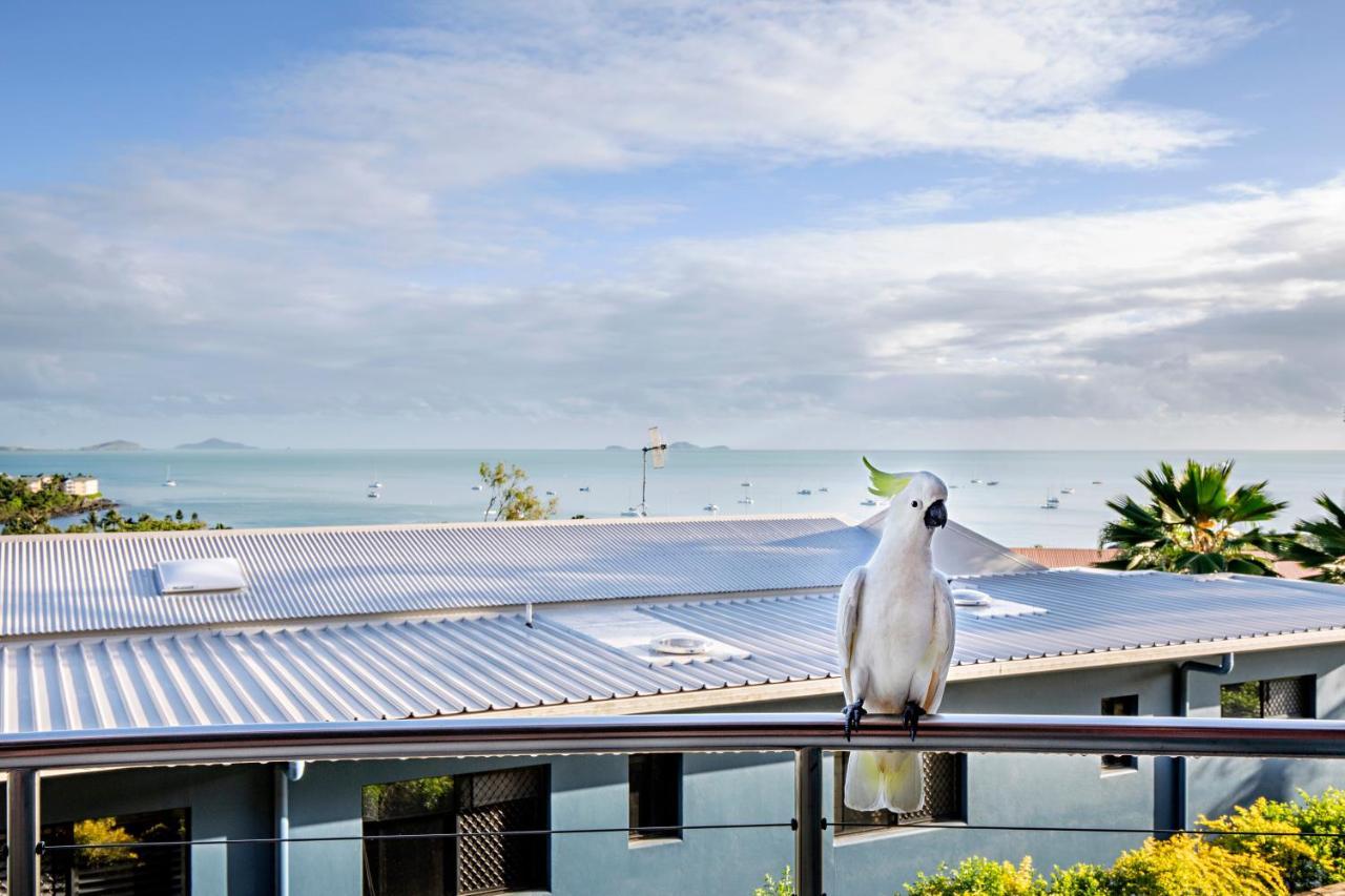 Toscana Village Lodge Airlie Beach