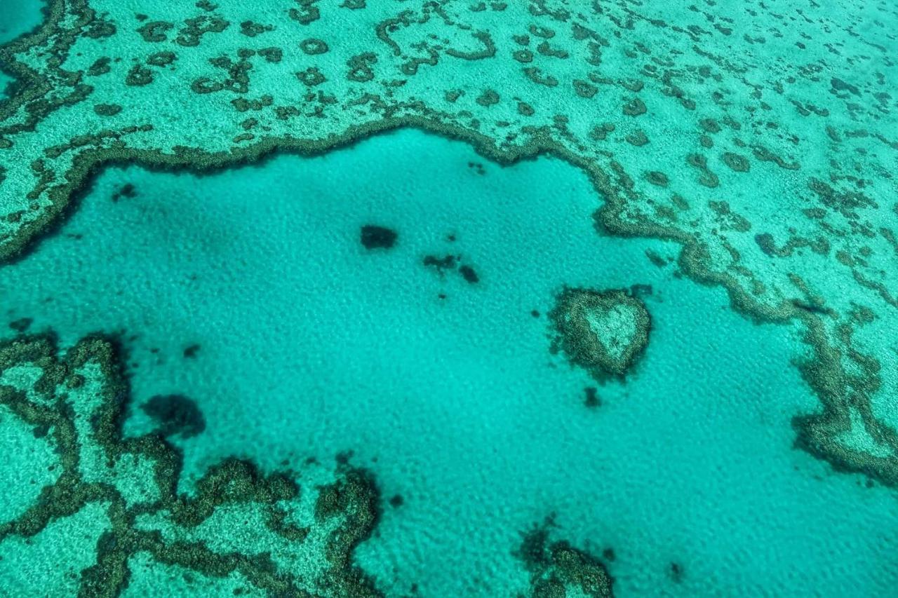 Heart Of Airlie *