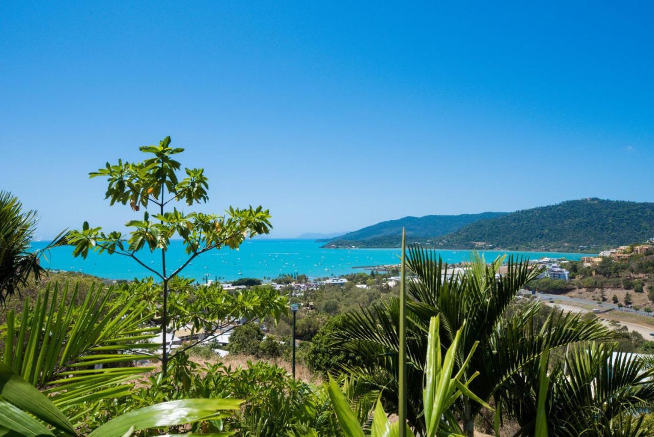 Bohemian Sunrise * Airlie Beach