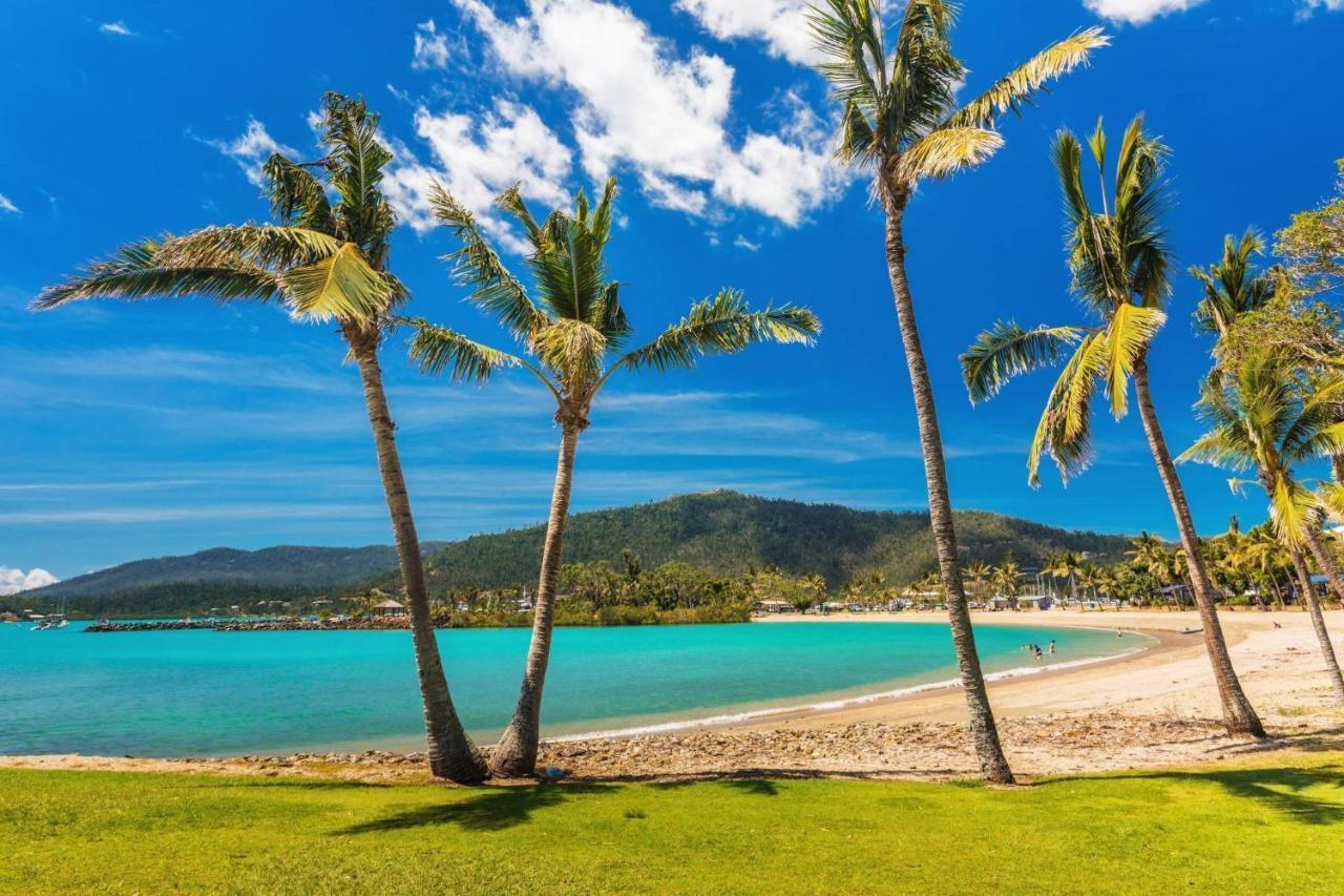 Apartamento Ocean View 49 *