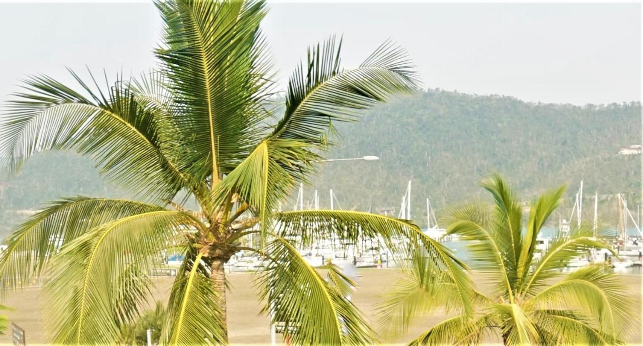Airlie Seaview