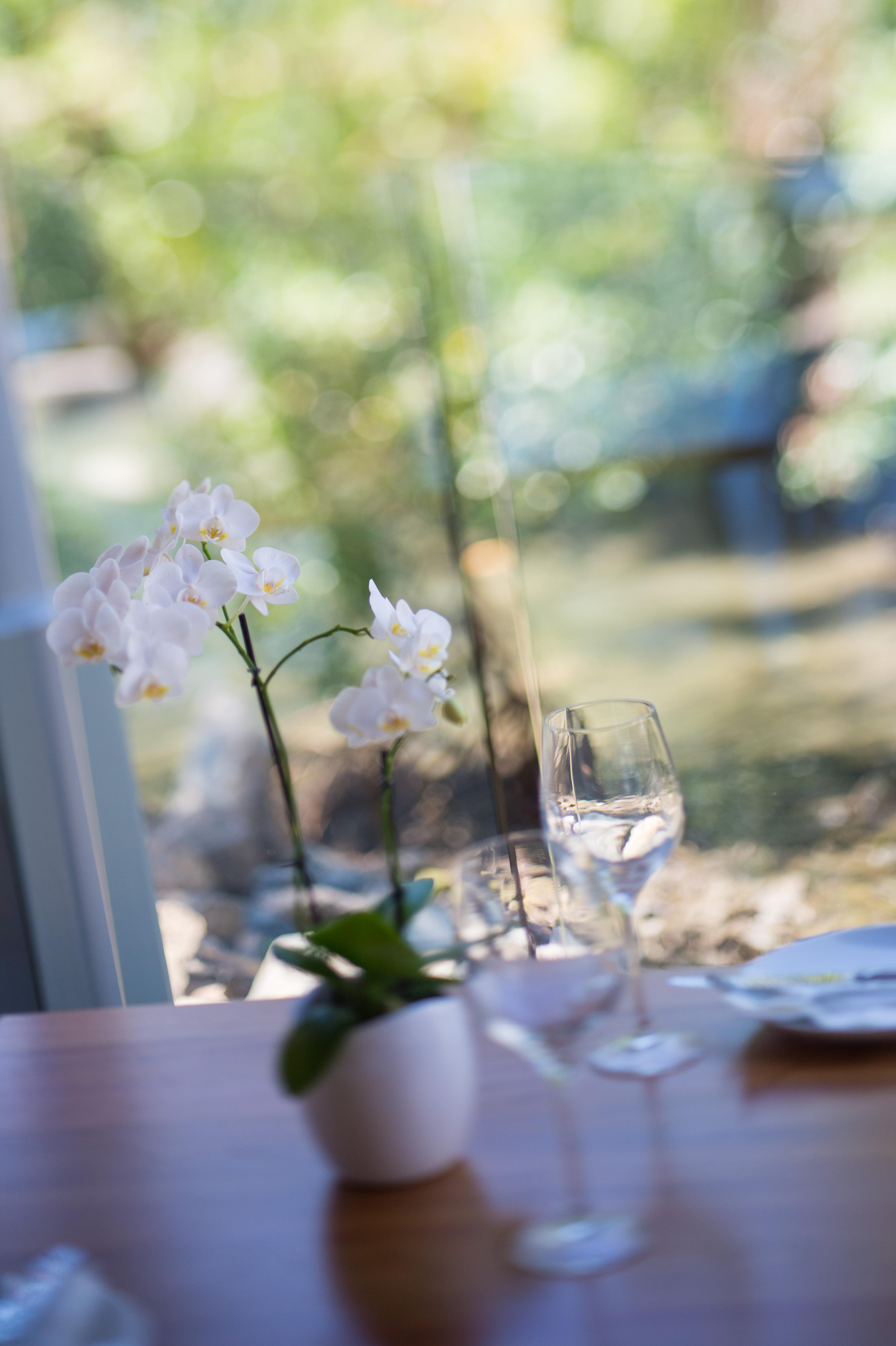 Hotel Heart Hotel And Gallery Whitsundays 4*