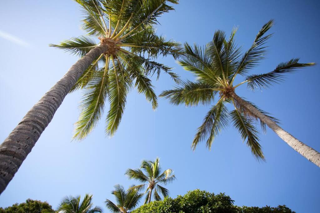 Serenity At Searene Ocean View Wi-fi Airlie Beach