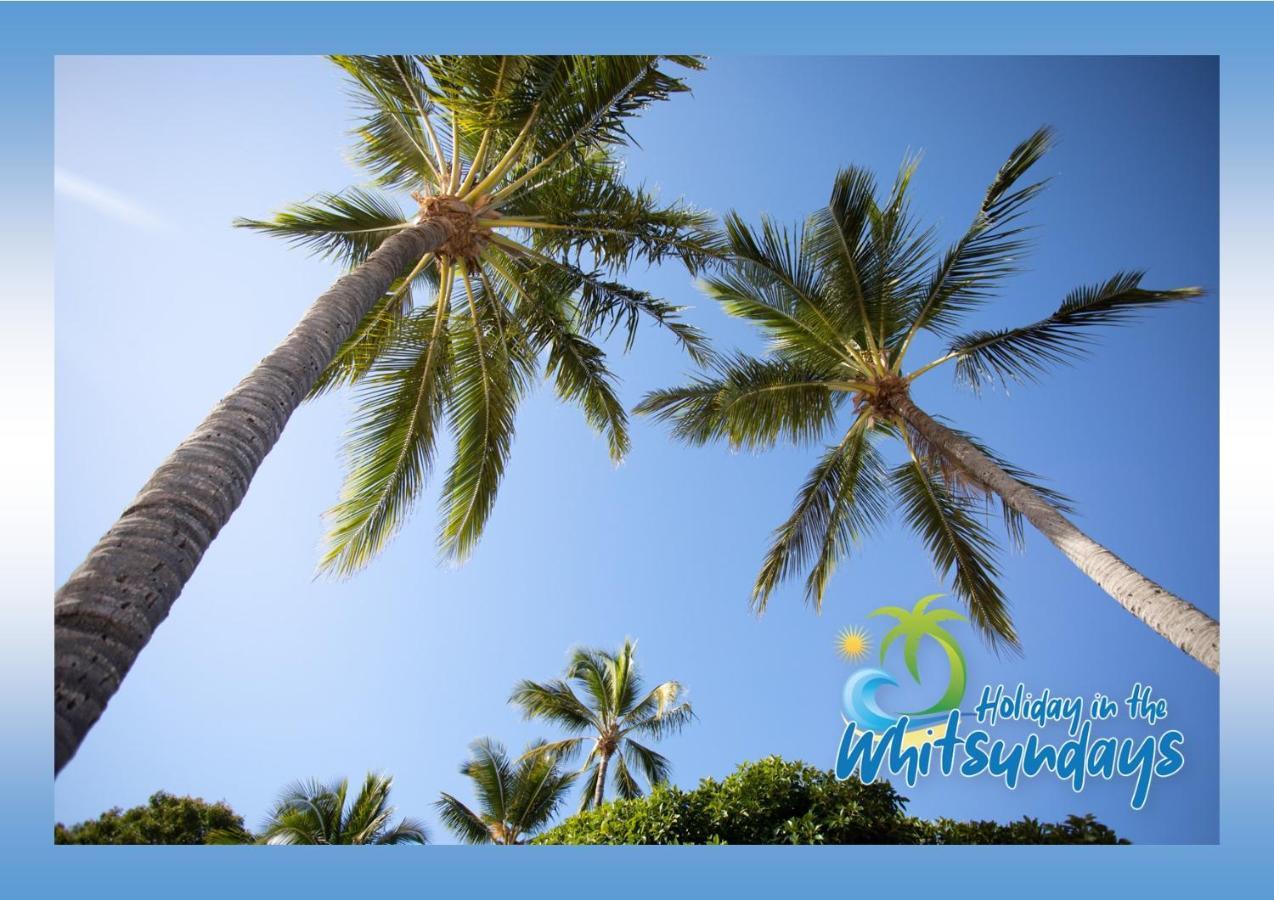 Apartment Ocean Views 16 Pool & Wi-fi *
