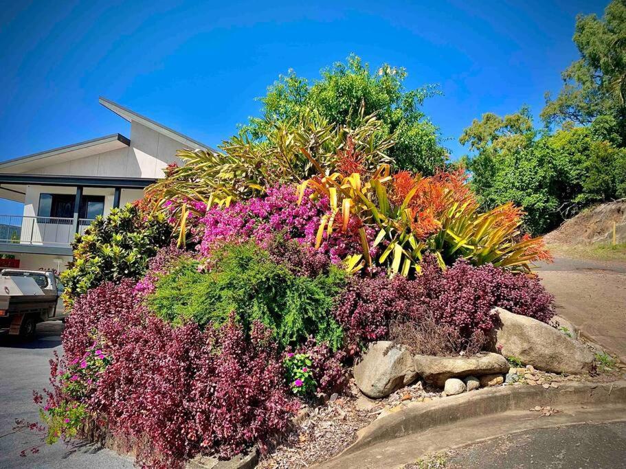 Apartment Whitsunday Dreams Airlie Beach