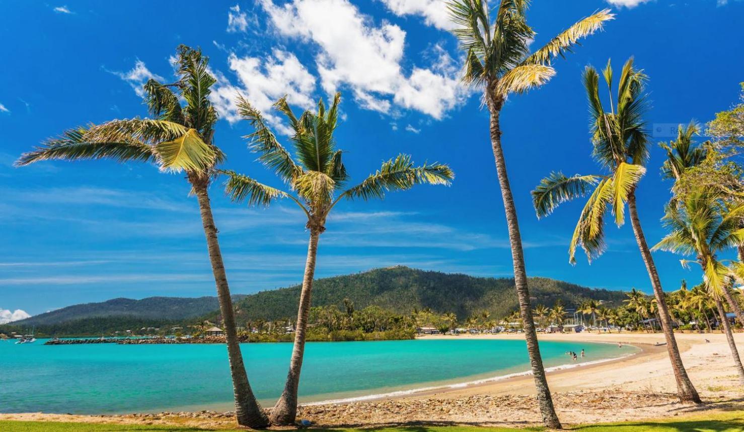 Qcwa Cheerful - Airlie Beach