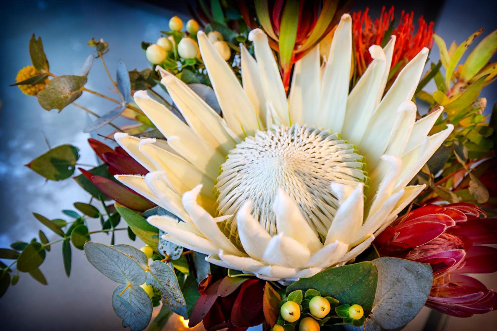 Airlie Eco - Adults Only Airlie Beach
