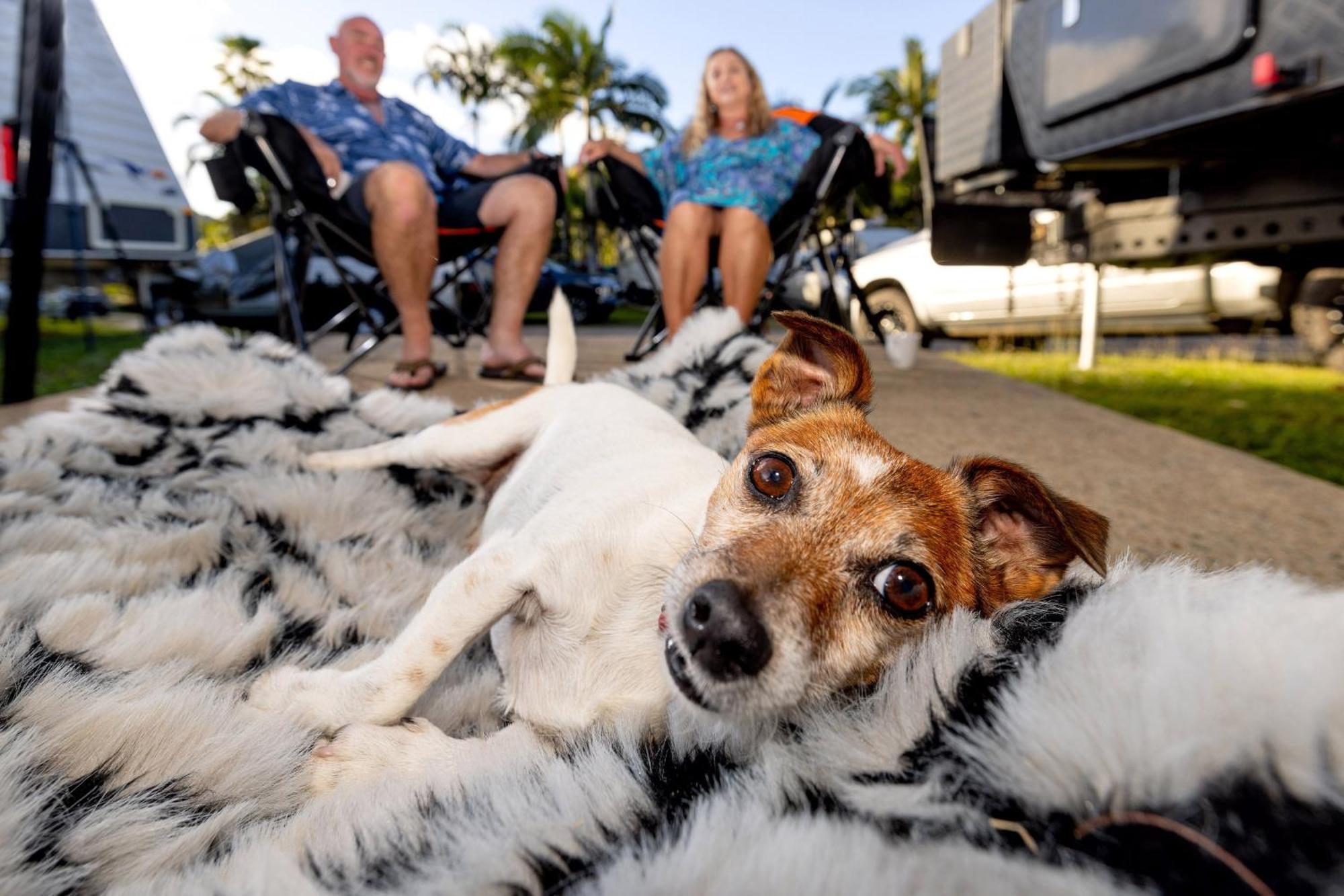 Big4 Whitsundays Tropical Eco Airlie Beach