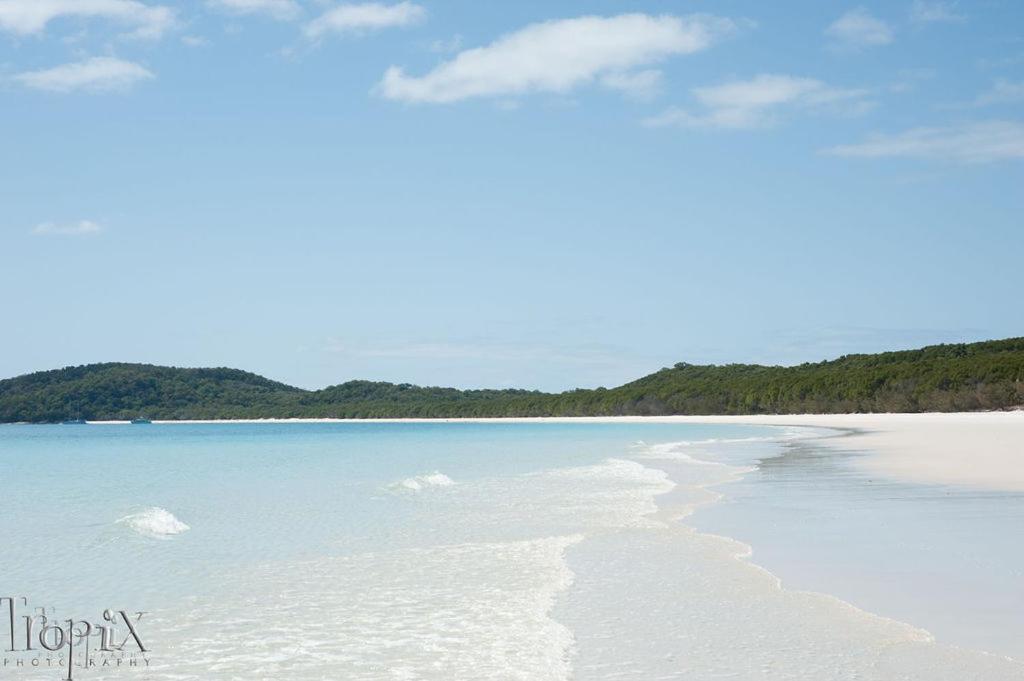 Turquoise Shores Whitsundays Airlie Beach