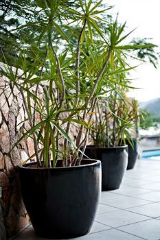 At Waterfront Whitsunday Retreat - Adults Only Aparthotel