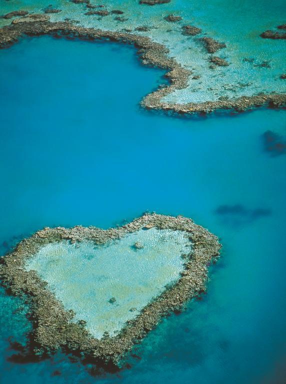 At Waterfront Whitsunday Retreat - Adults Only