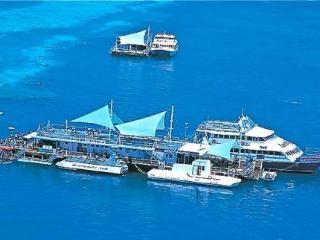 Aparthotel Paradise Court Units Airlie Beach