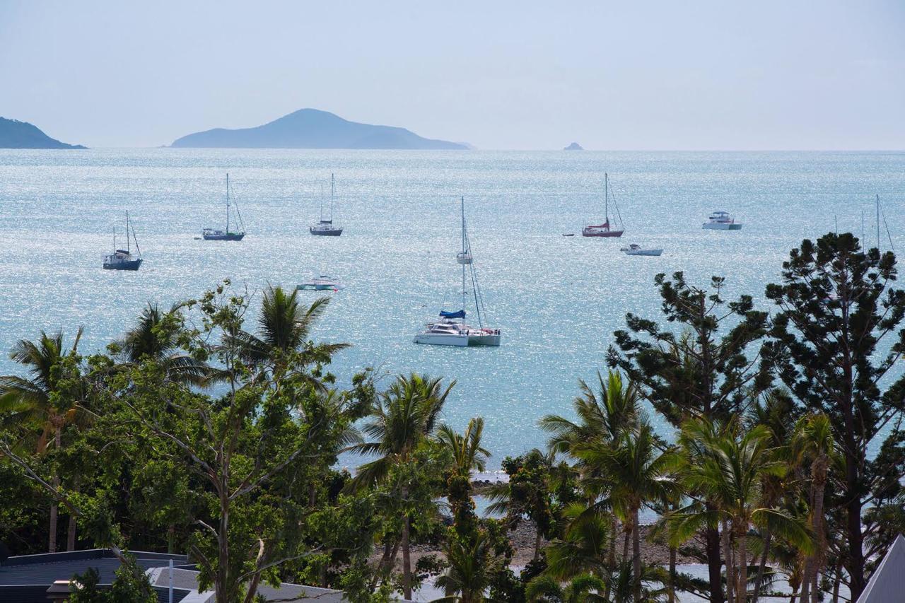 Apartment Ocean View 14a *