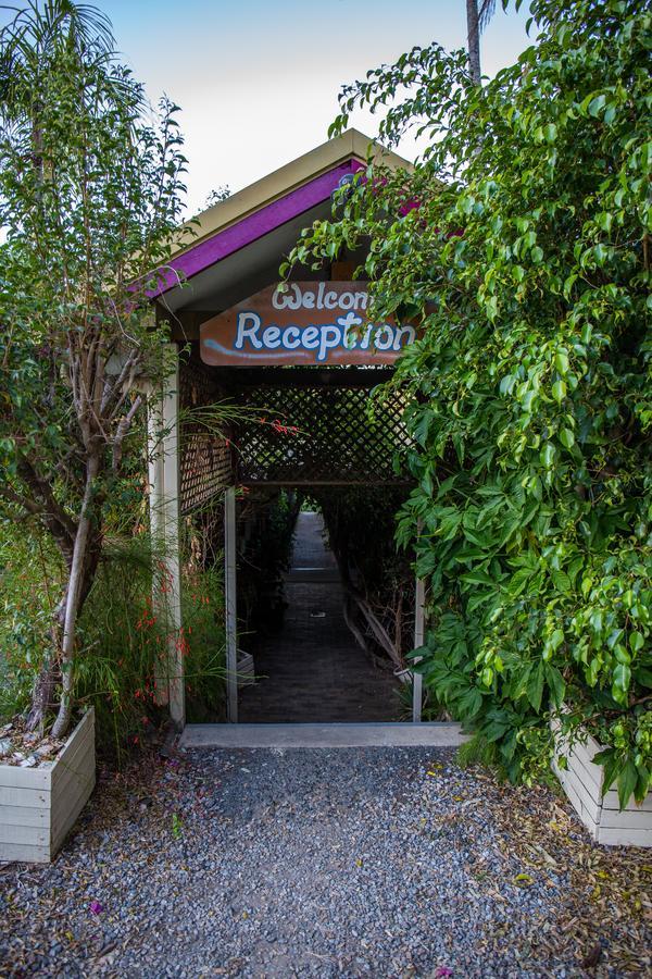 Hostel Backpackers By The Bay Airlie Beach