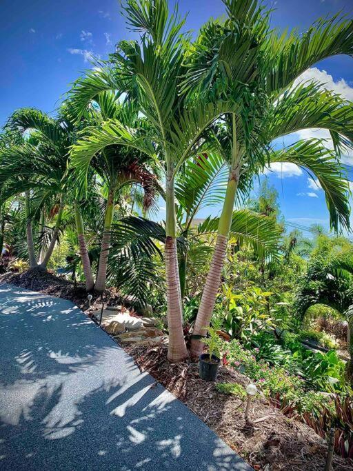 Apartment Whitsunday Dreams *